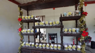 道端にふと現れた販売所を発見！ ここではミニサイズも販売されていました。