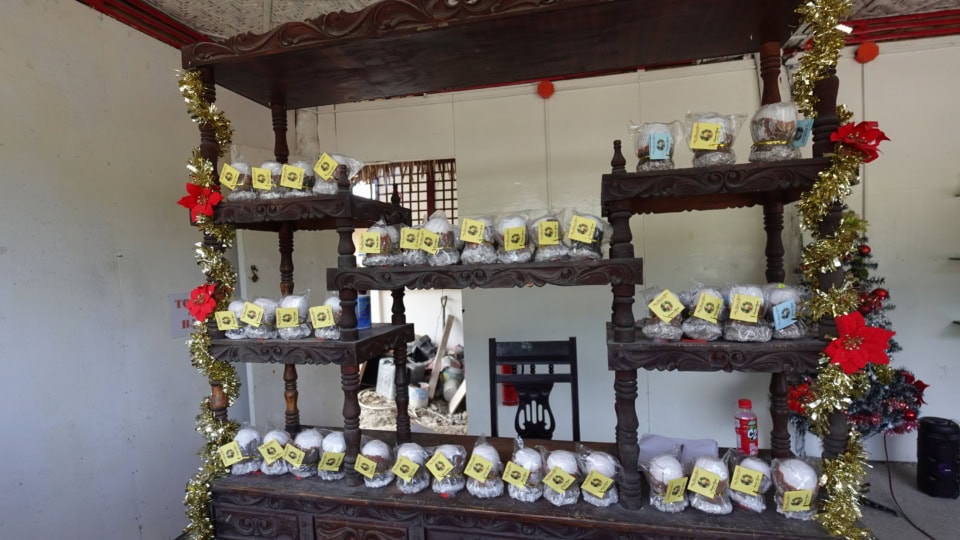 道端にふと現れた販売所を発見！ ここではミニサイズも販売されていました。