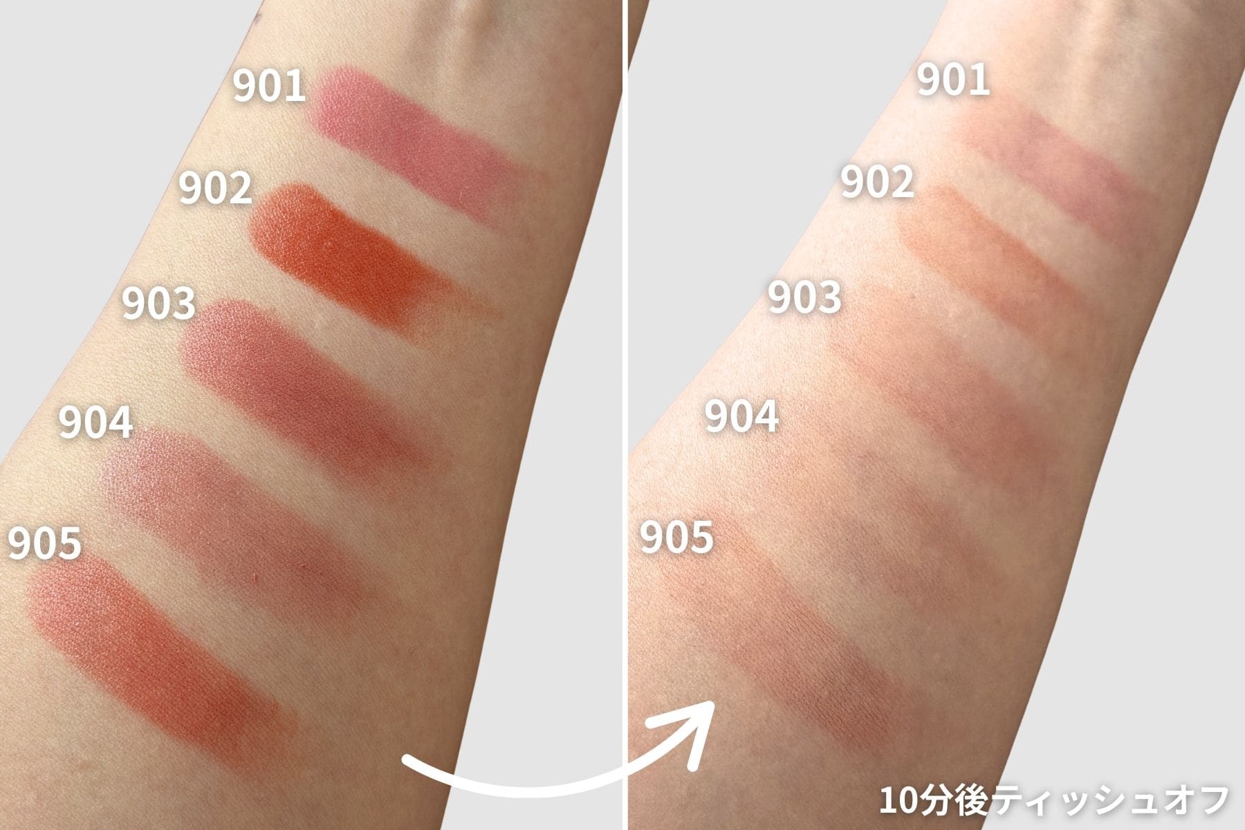 イエベもブルベも似合う、万能ニュートラルトーン。自然になじみながら、あたらしい感性を呼び起こす5つのカラー