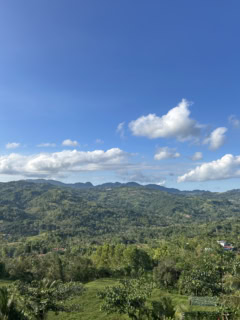 海だけじゃない、陸にも見逃せないスポットが点在するセブ島の魅力に迫ります。