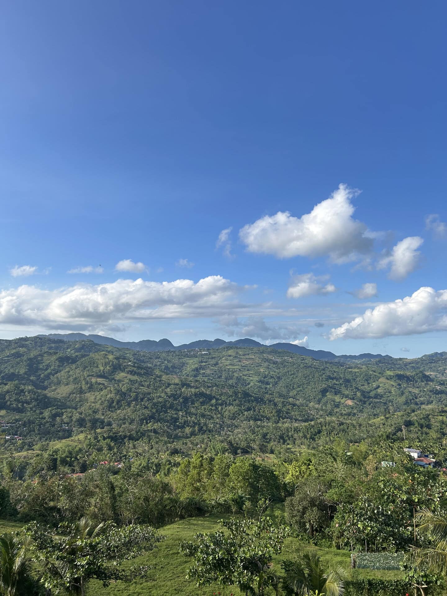 海だけじゃない、陸にも見逃せないスポットが点在するセブ島の魅力に迫ります。