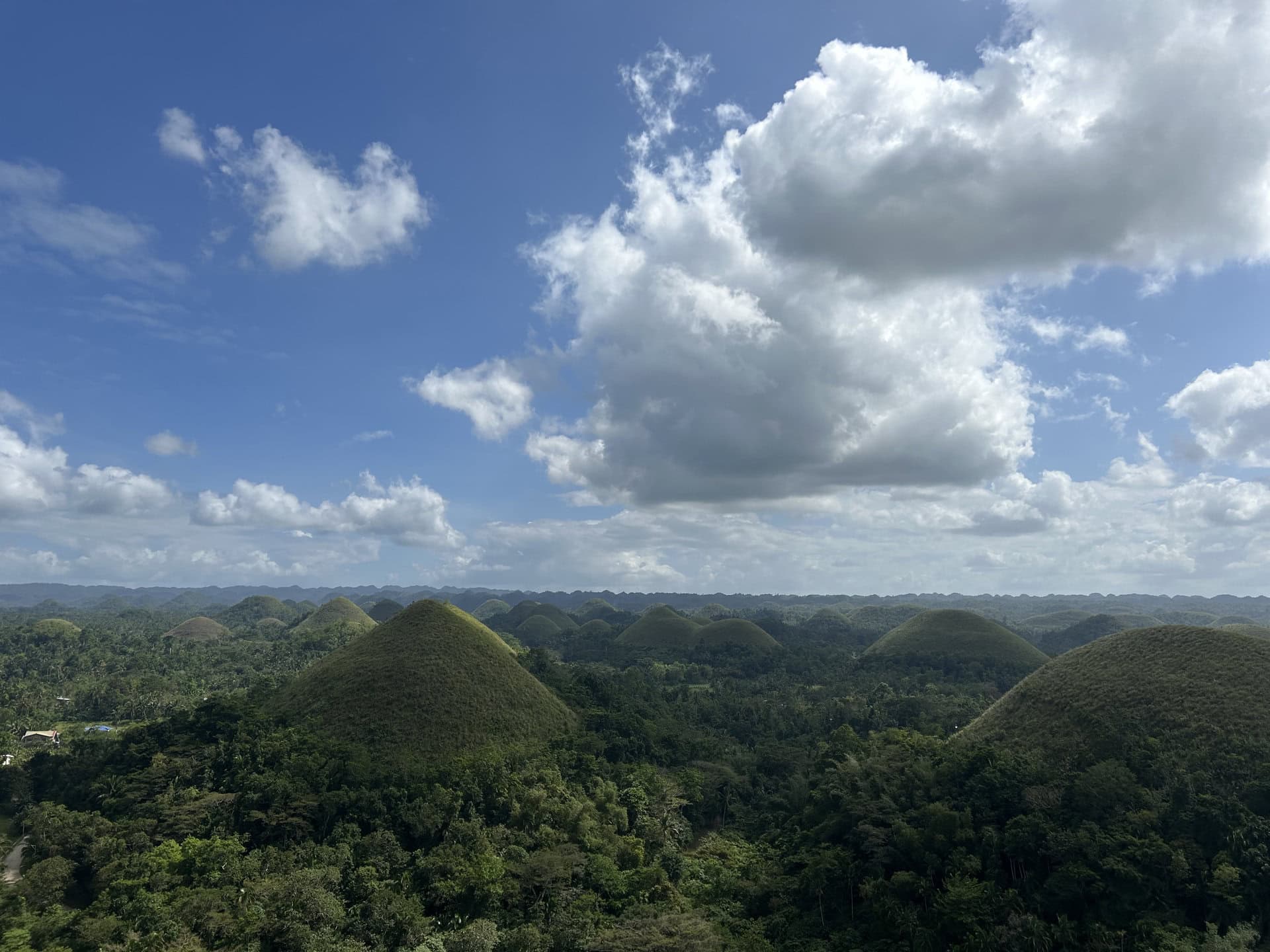 360°ぐるりと小さな丘が連なる光景は、まるで映画のセットのような異世界のような雰囲気。