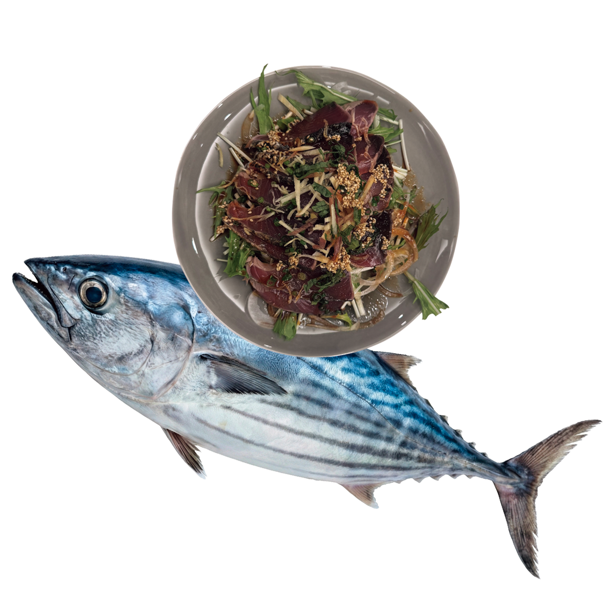 KATSUO is the No.1 FOOD！！