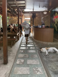 街中のジムに併設されたカフェ。南国ムードにわんこもリラックスしております