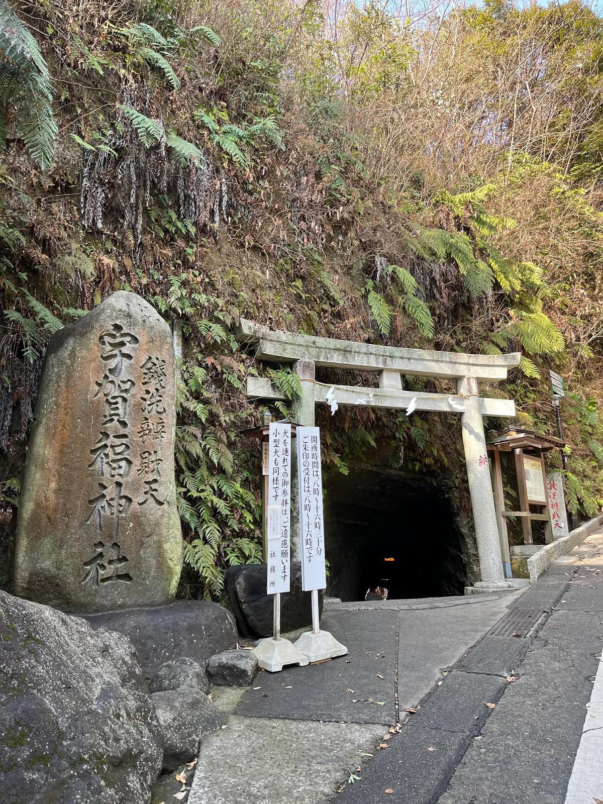 【鎌倉散策】春分の日に訪れたい 金運と浄化の聖地「銭洗弁財天 宇賀福神社」