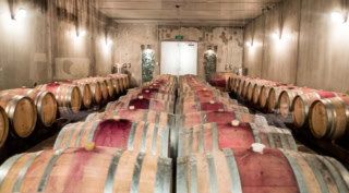 圧巻のワイン樽。こちらでは美味しい赤ワインが熟成されています！