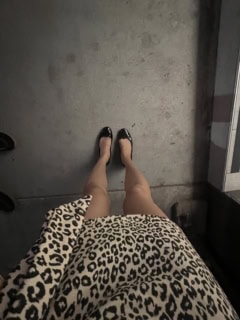 レペットもたーまにはきます。見た目はやっぱり可愛い！