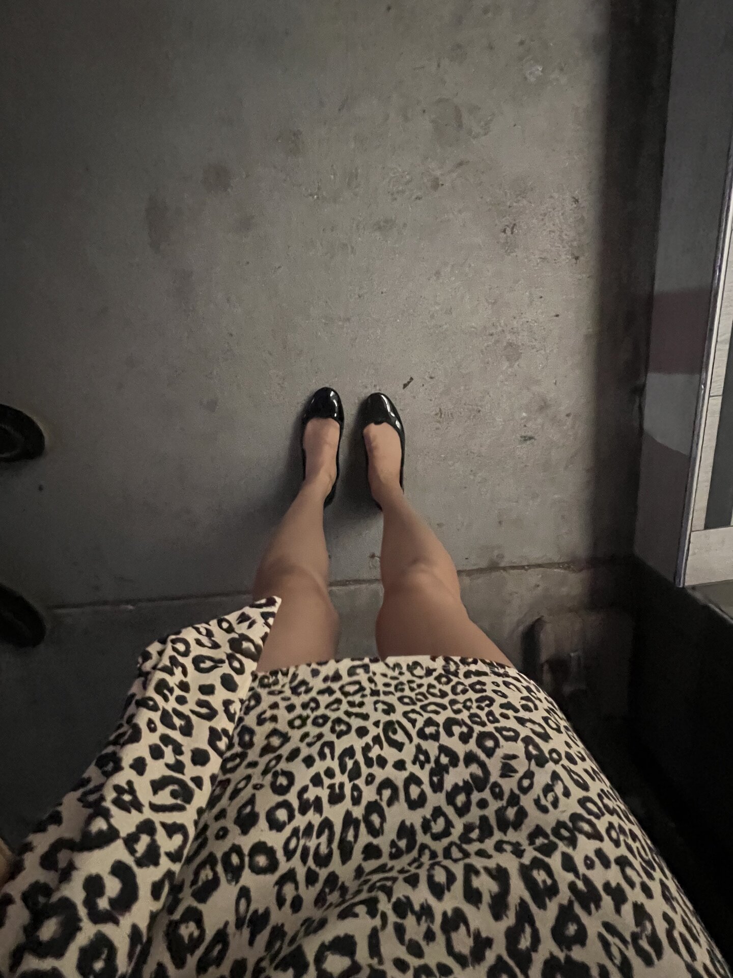 レペットもたーまにはきます。見た目はやっぱり可愛い！