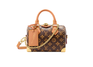 バッグ〈スピーディ・トランク〉［H13.5×W20.5×D11㎝］¥529,100※取り外し可能なストラップ付き（ルイ・ヴィトン／ルイ・ヴィトン クライアントサービス）