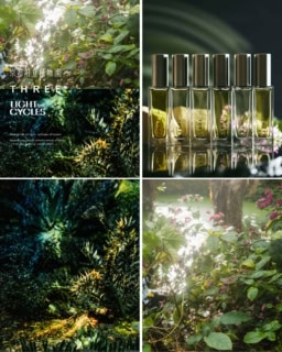 五感を刺激する【THREE】の期間限定イベント