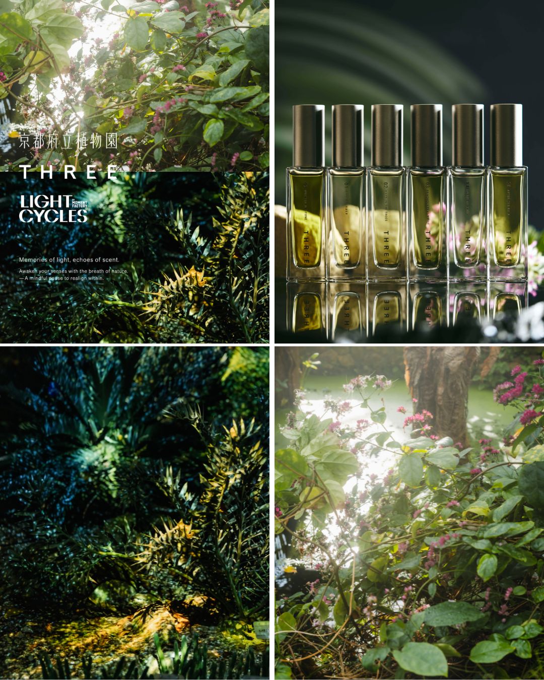 五感を刺激する【THREE】の期間限定イベント