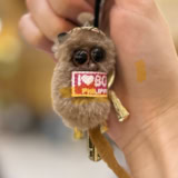 メガネザルのターシャ