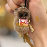 メガネザルのターシャ