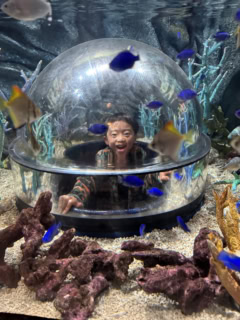 フォトスポットもたくさん！