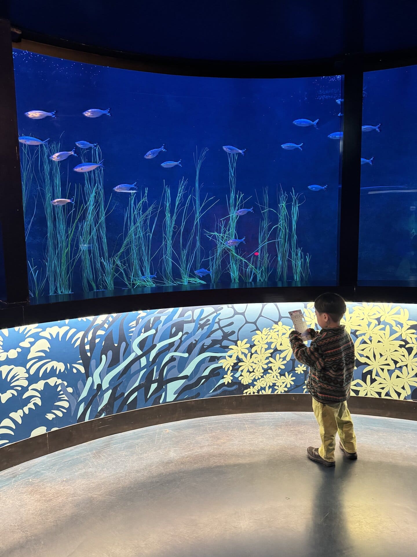 「生き物さがし」カードに夢中！