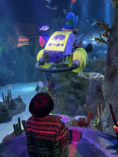 レゴを見つけると嬉しそう！