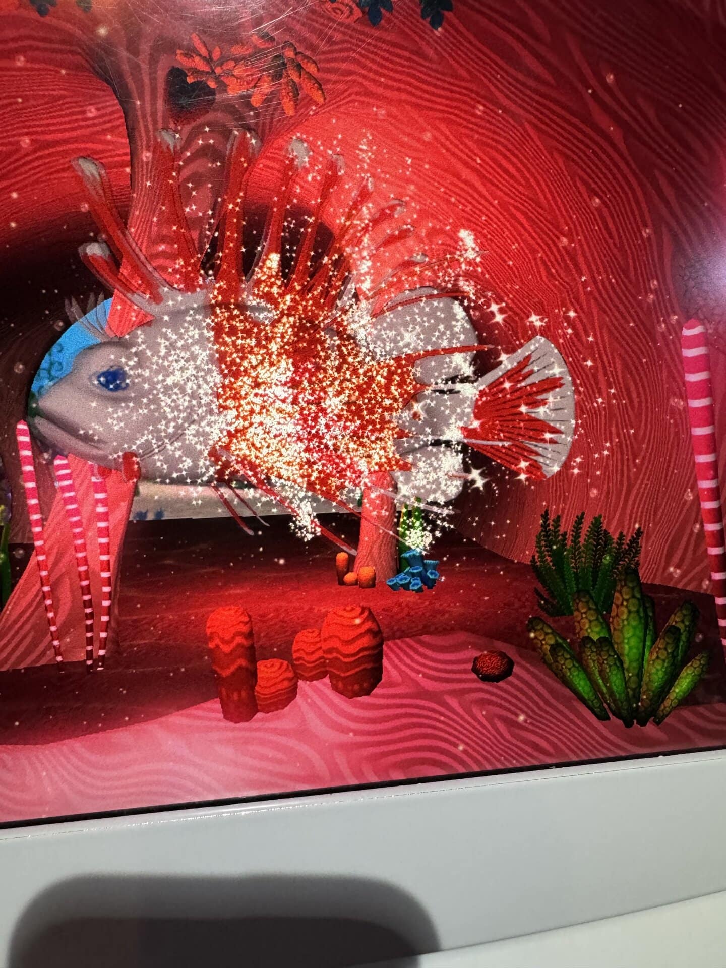 こんな風に映し出されます！