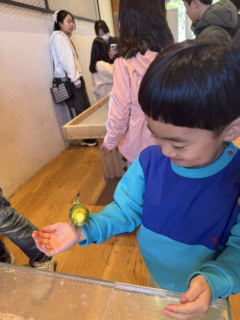 手乗りインコ♡