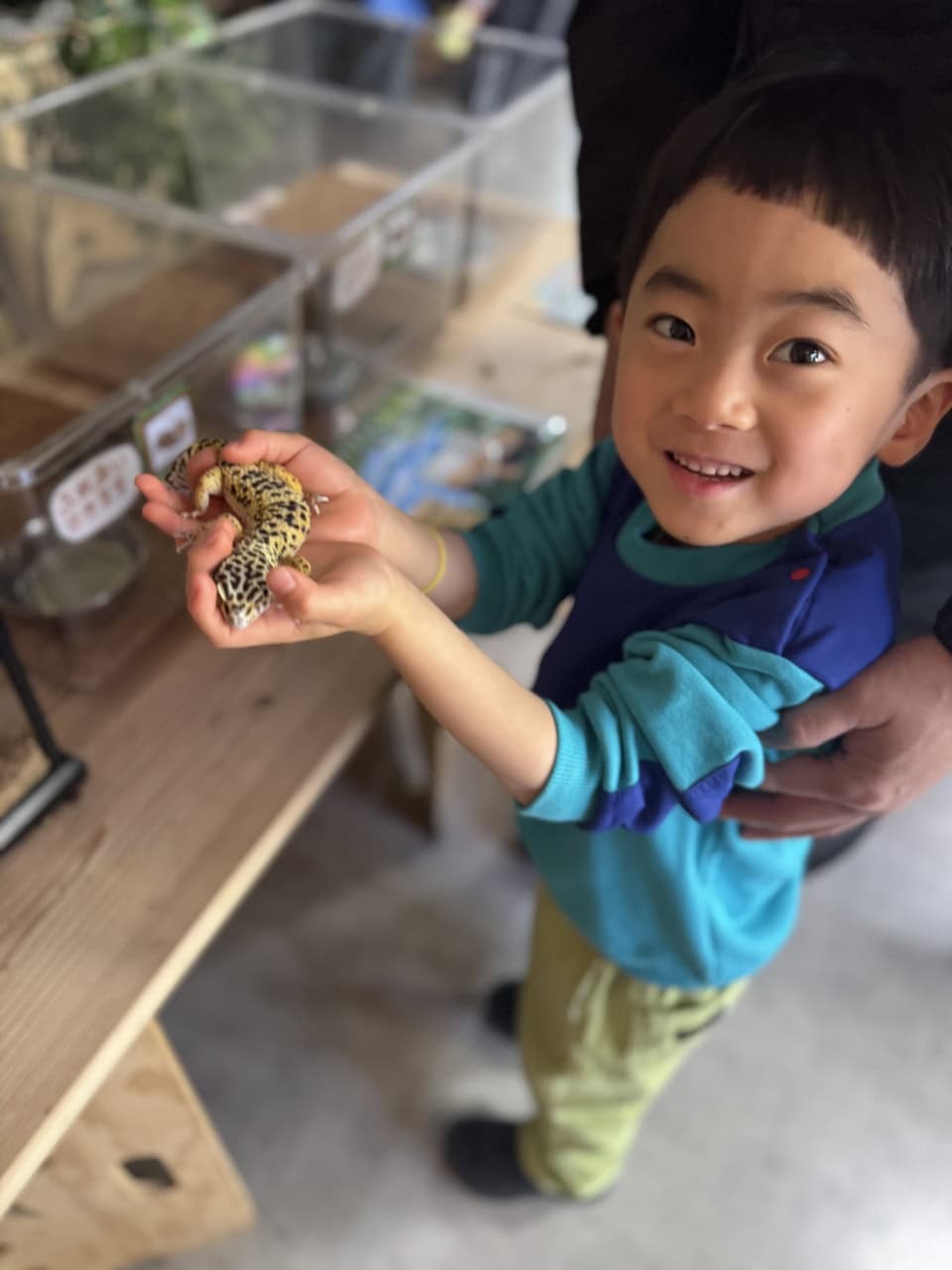 カメレオン発見！ イグアナや蛇も触れます