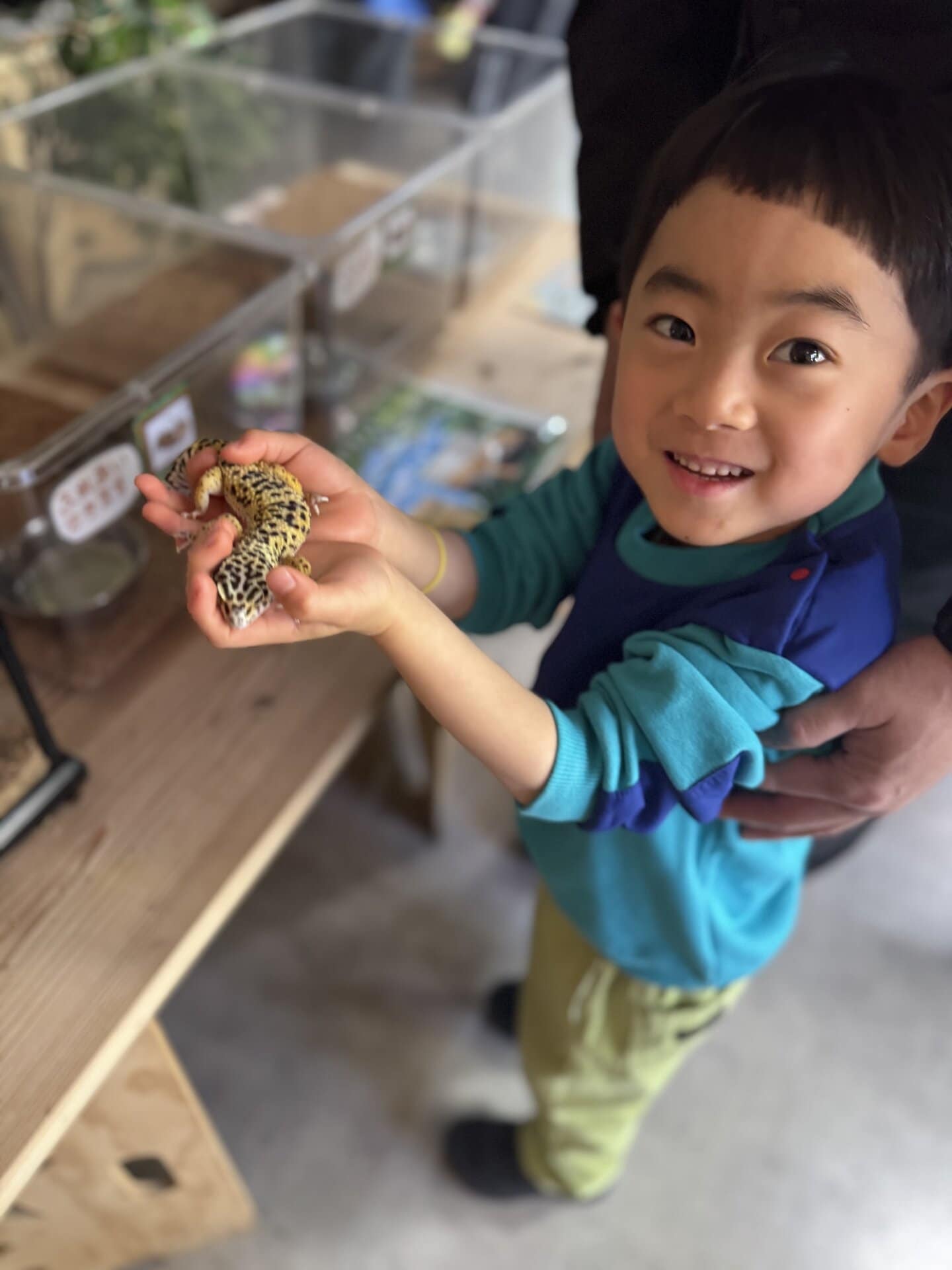 カメレオン発見！ イグアナや蛇も触れます