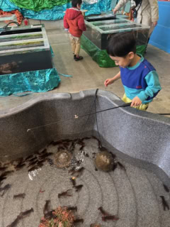 最終的には、ひたすらザリガニ釣り