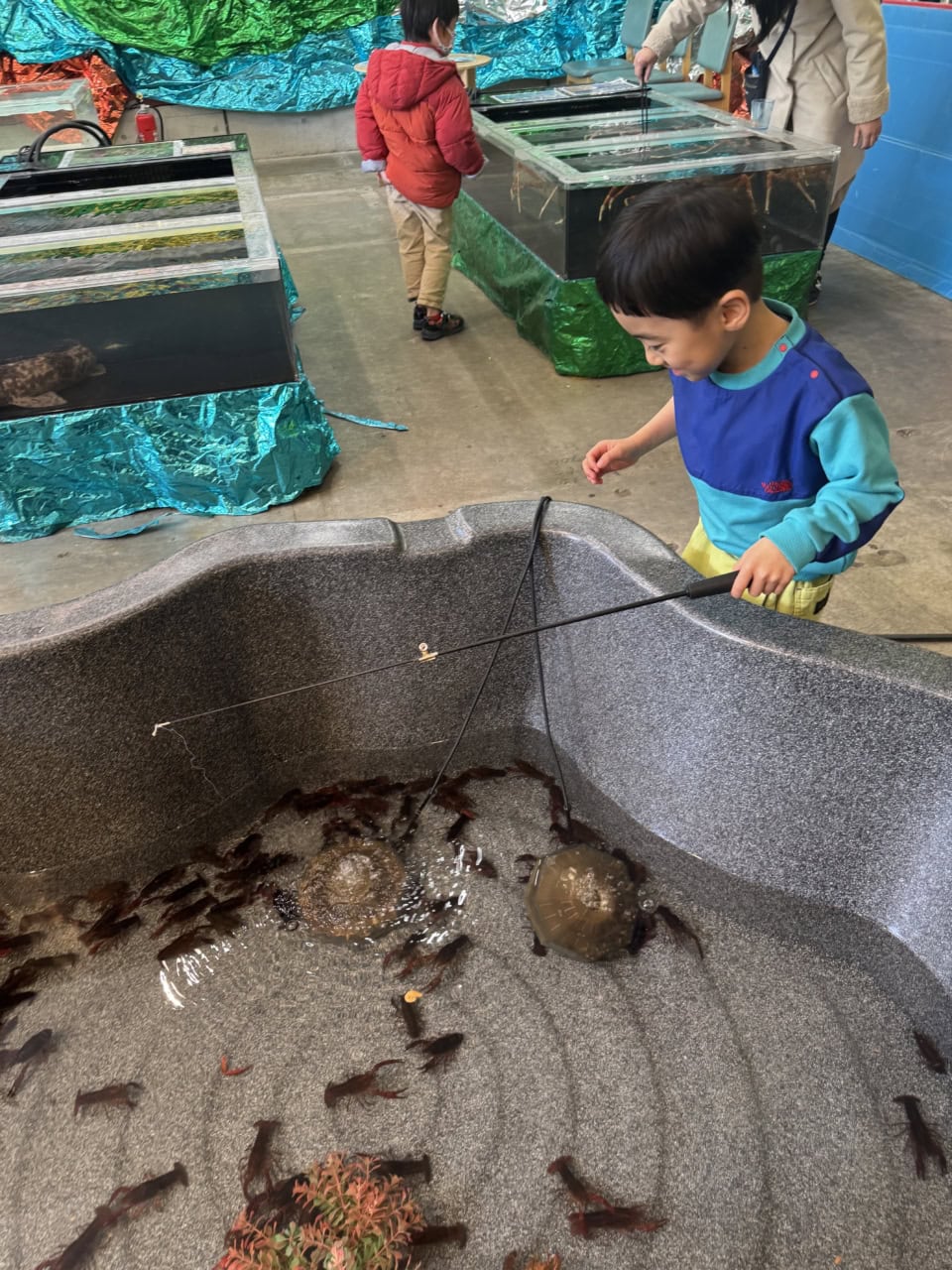 最終的には、ひたすらザリガニ釣り