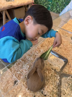 生き物に話かけたりして、自分ワールドで楽しんでいました（笑）