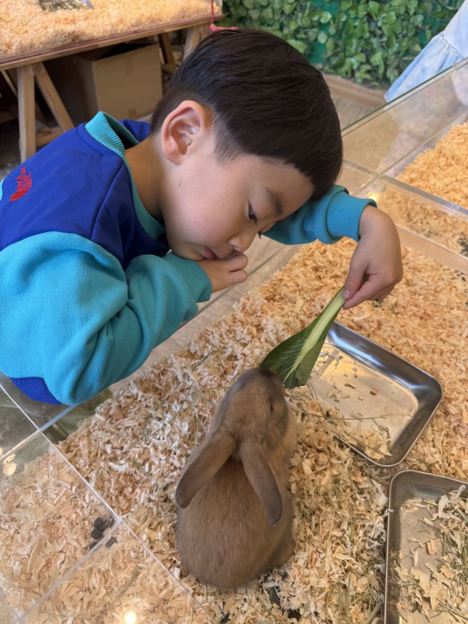 生き物に話かけたりして、自分ワールドで楽しんでいました（笑）