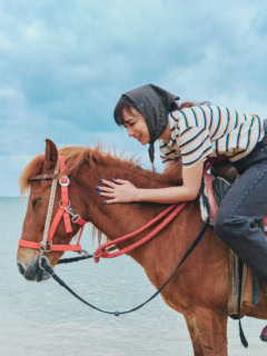 今回ともに過ごすのは、八重山の在来馬「さんぴんちゃん」。“さんぴん”はジャスミンを意味する名前で、小柄で人懐っこく、穏やかな性格の持ち主です。