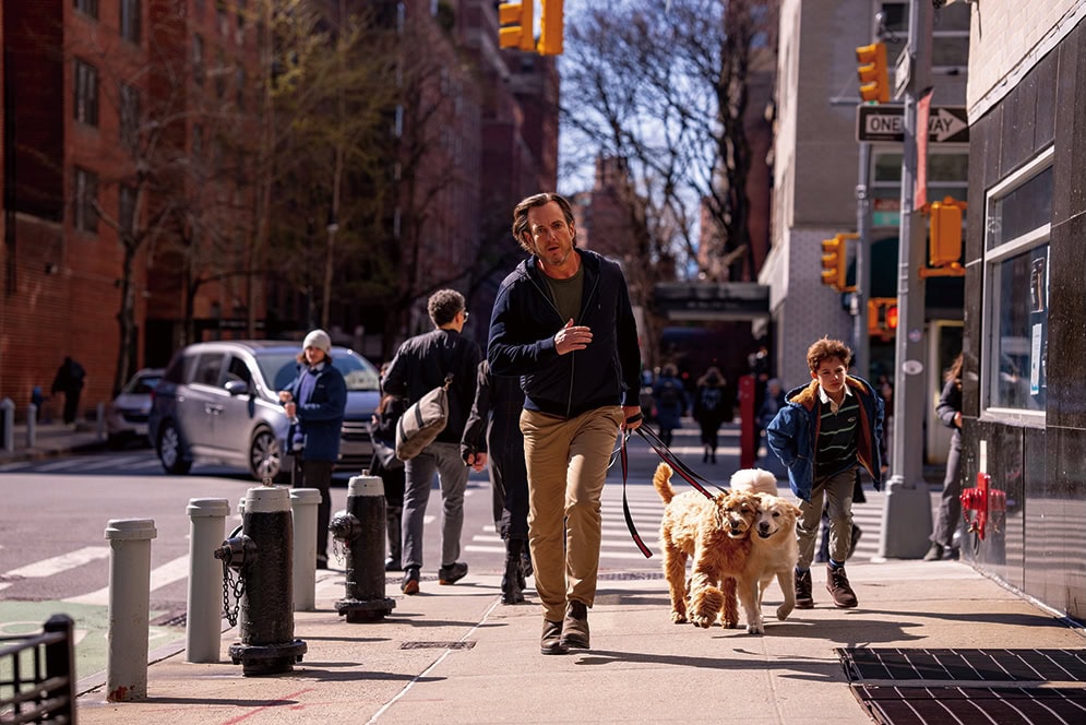 ポストコロナ版『マリッジ・ストーリー』 『これって生きてる？』
