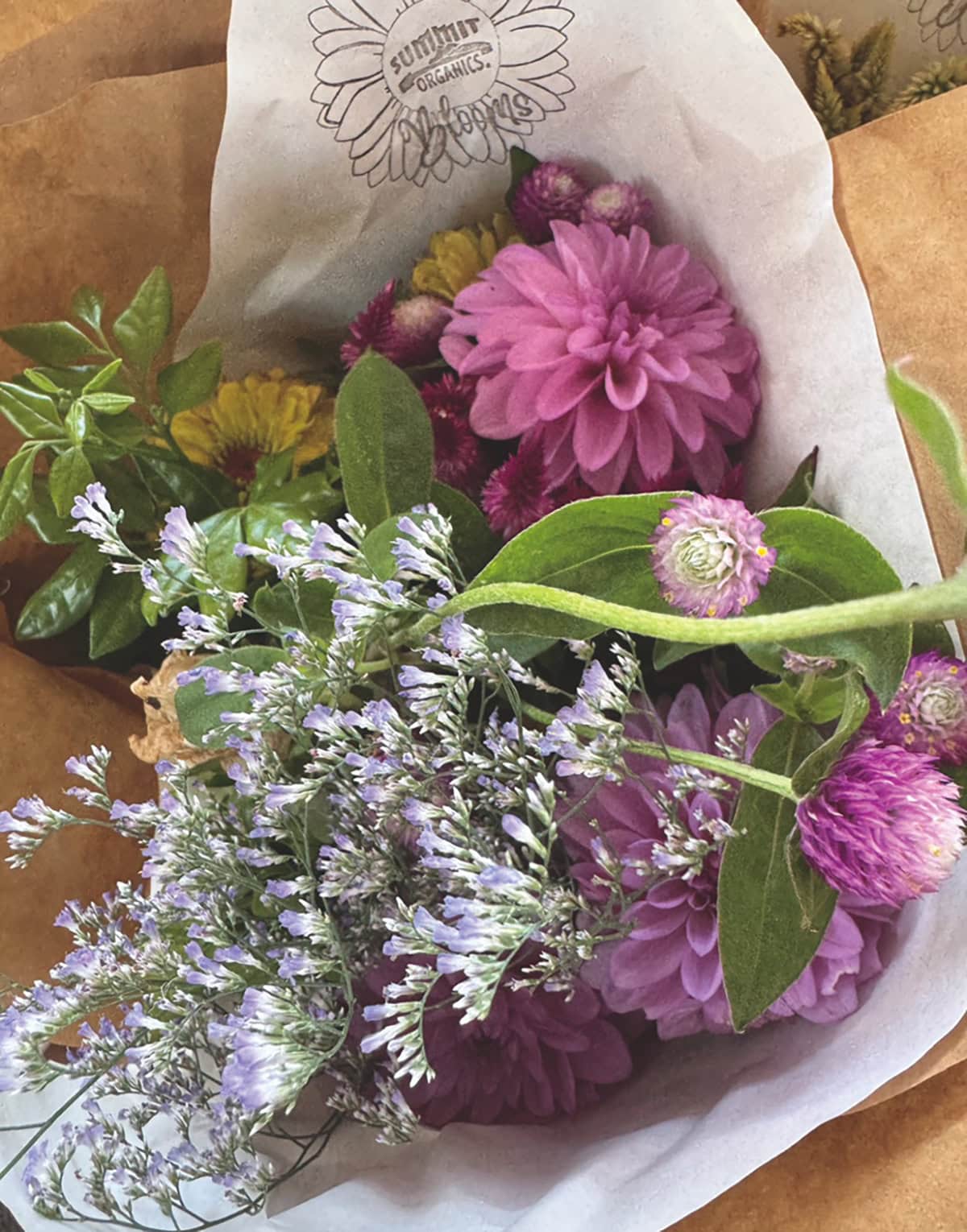 無農薬で育てられた可愛いお花