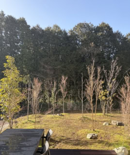 リビングと裏庭をシームレスにつなげるデッキ。周りの視線も気にならないのも◎