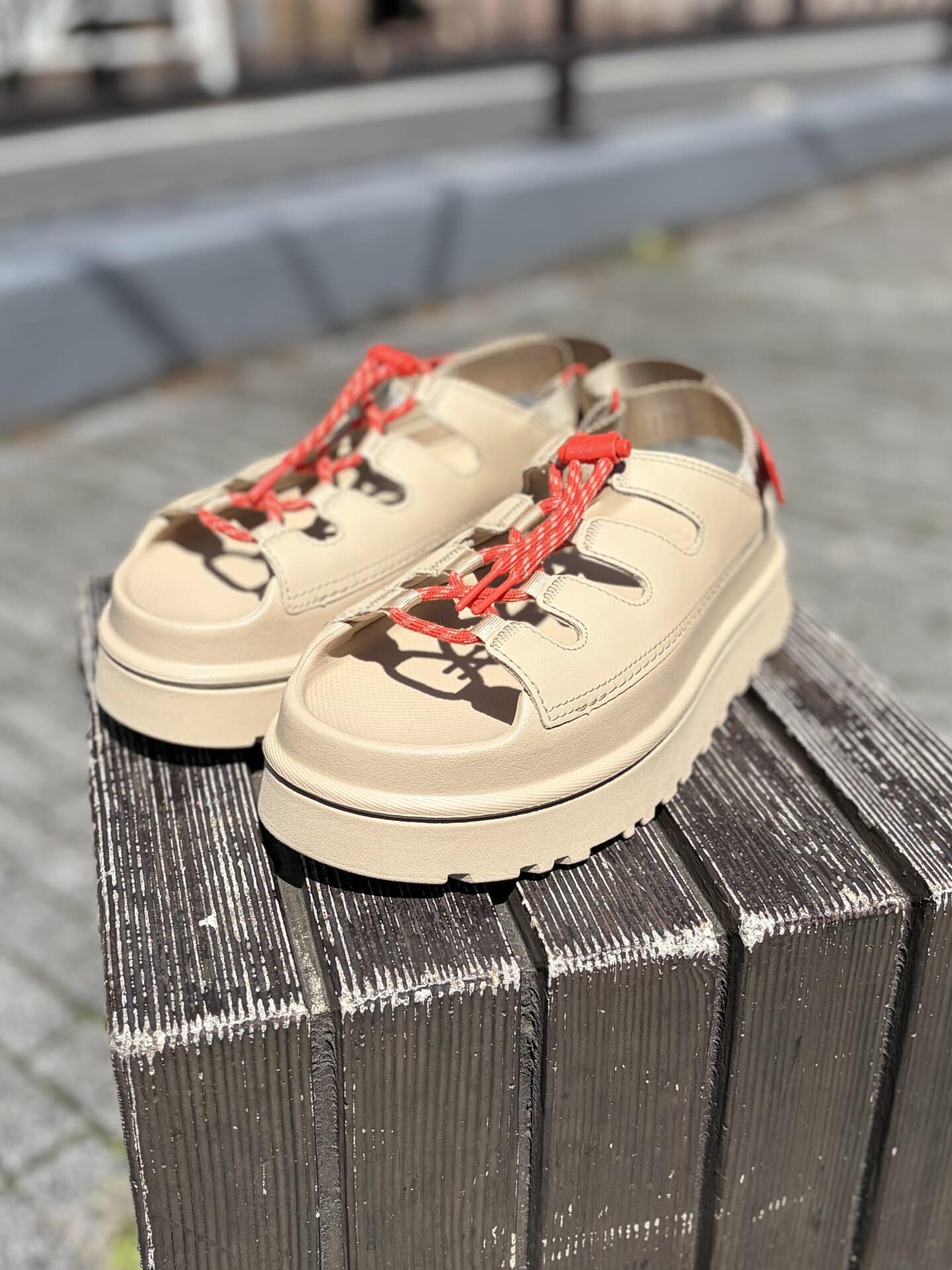 「GoldenGlow Toggle」￥18,700（アグ）