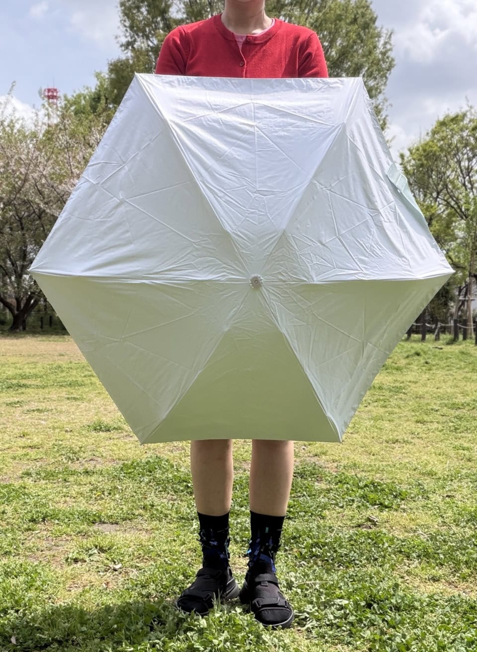 使用時の直径約00cm