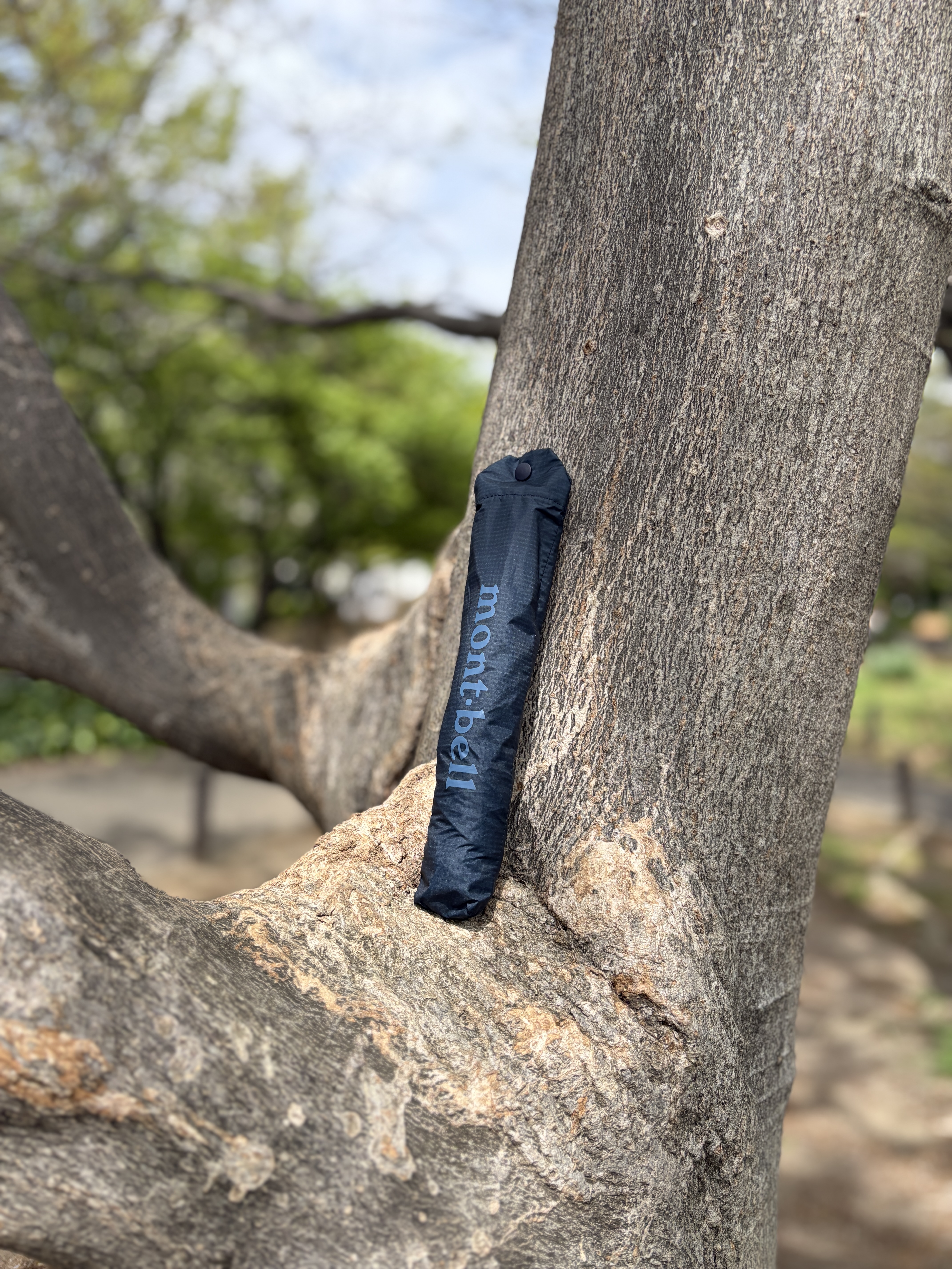 折りたたみ時の長さは23cm