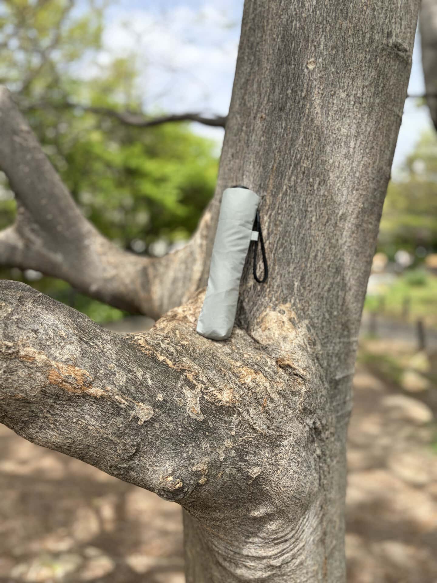 折りたたみ時の長さは約21.5㎝