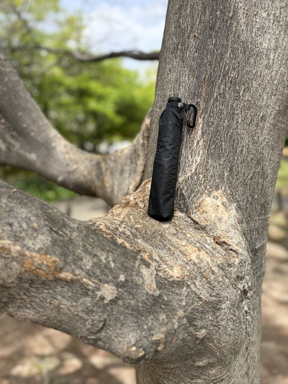 折りたたみ時の長さ21cm