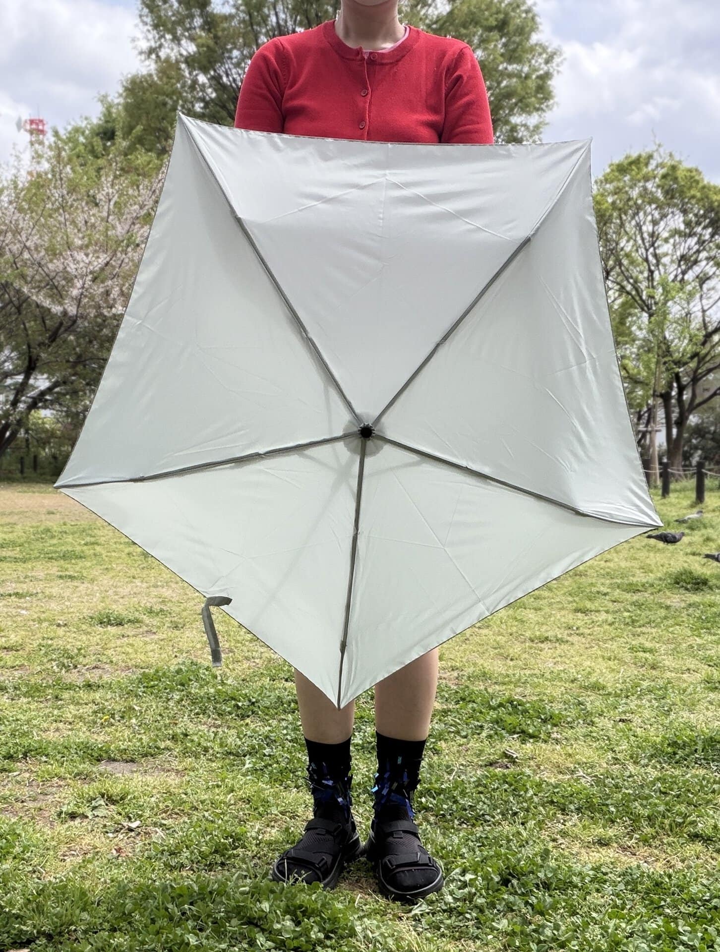 使用時の直径は約80cm