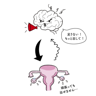 卵巣の加齢変化により、ホルモン分泌がゆらぎやすくなる