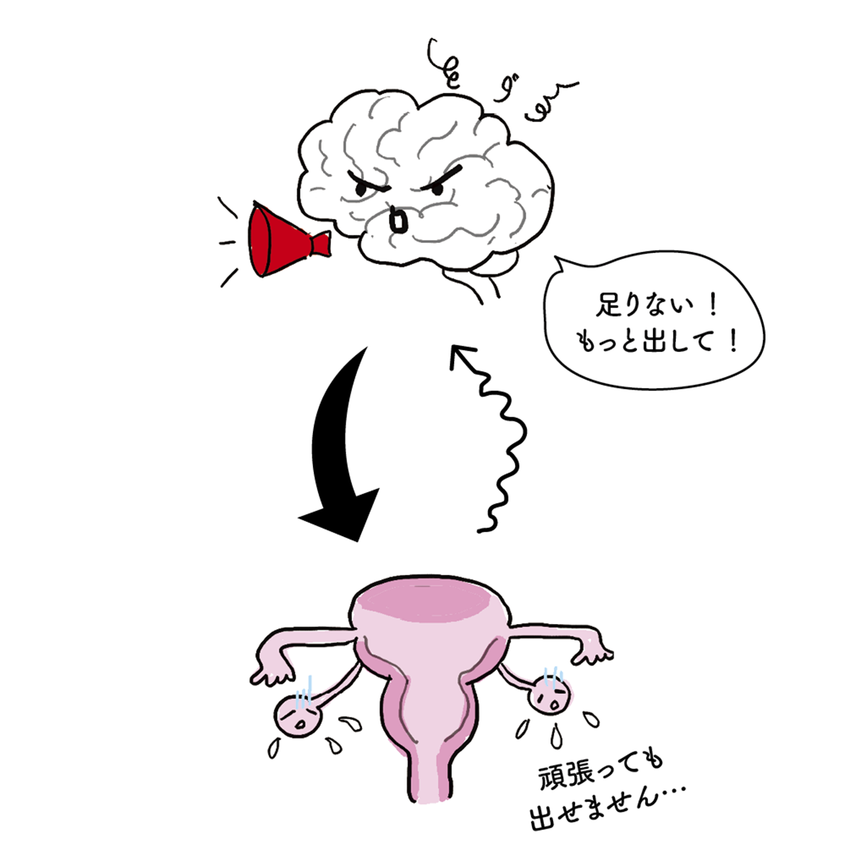 卵巣の加齢変化により、ホルモン分泌がゆらぎやすくなる