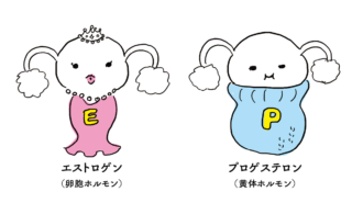 女性ホルモンにはこの2種類が