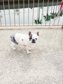 ペットを連れて遊びに来られるので、キュートなワンちゃんにもたくさん遭遇しました♡