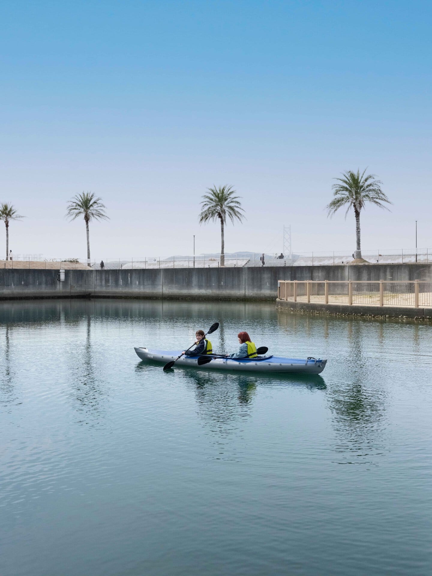 気がついたら、あれよあれよと遠くに……。