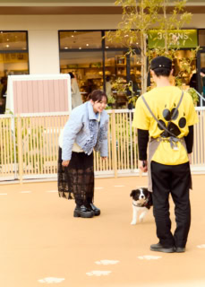 ドッグラン＆遊具も完備。公園感覚で立ち寄って