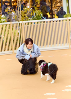 遊んでいたワンちゃんに癒やされながら、少しばかり食べ過ぎた胃の消化タイム。