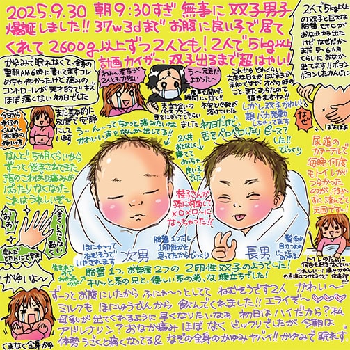 妊娠・出産・育児についてリアルに、そしてユーモラスに綴った一冊。個人的に、身近なところにも双子を育てている人を知っているので「ひとりでも大変なのに初産で双子なんてホント大変ですよね」と、心底エールをお送りしたいです。