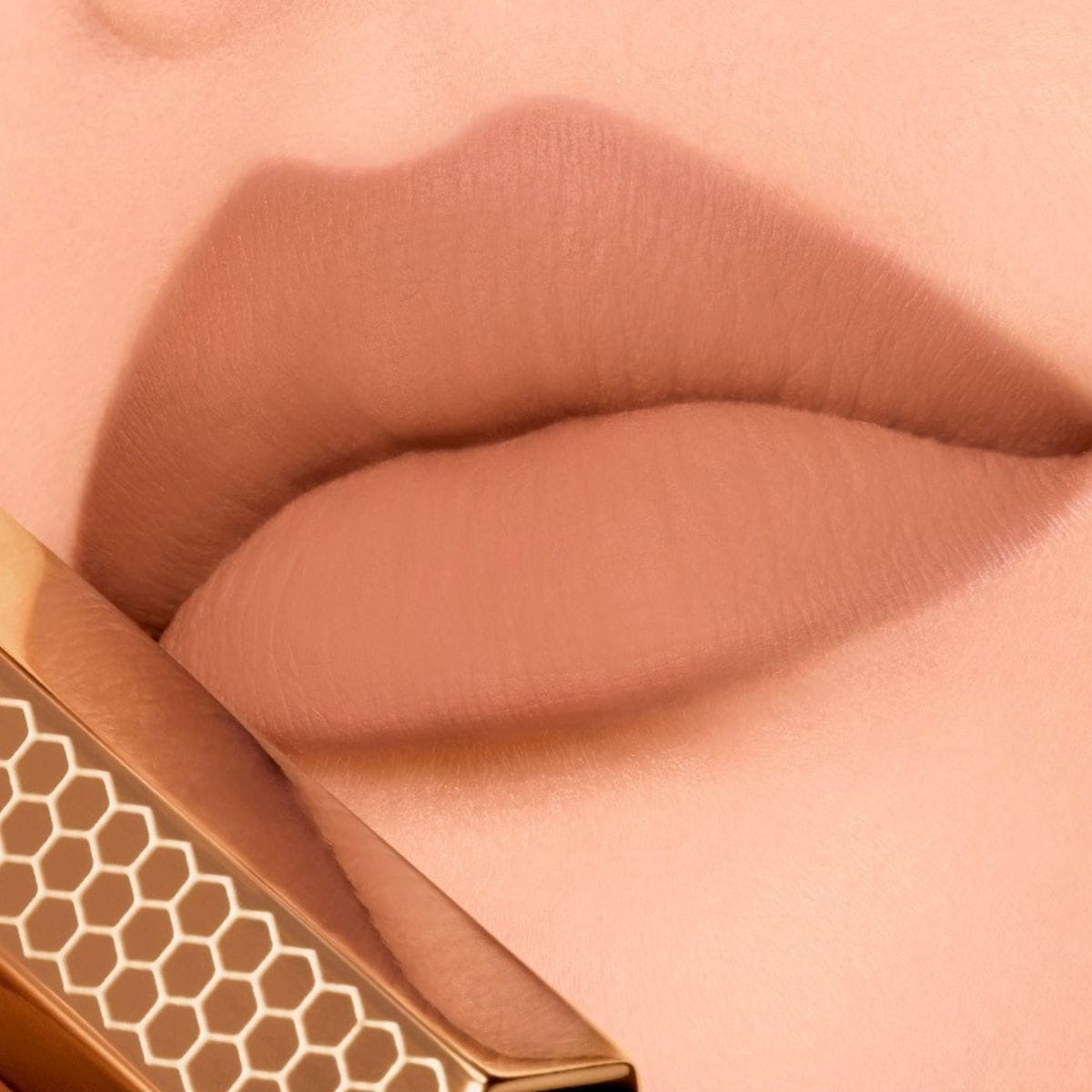 134 ラディアントジャスミン