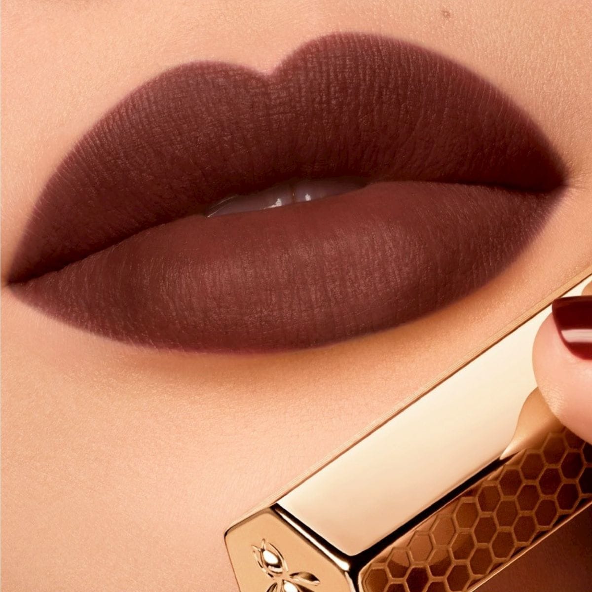 291 ディープダリア