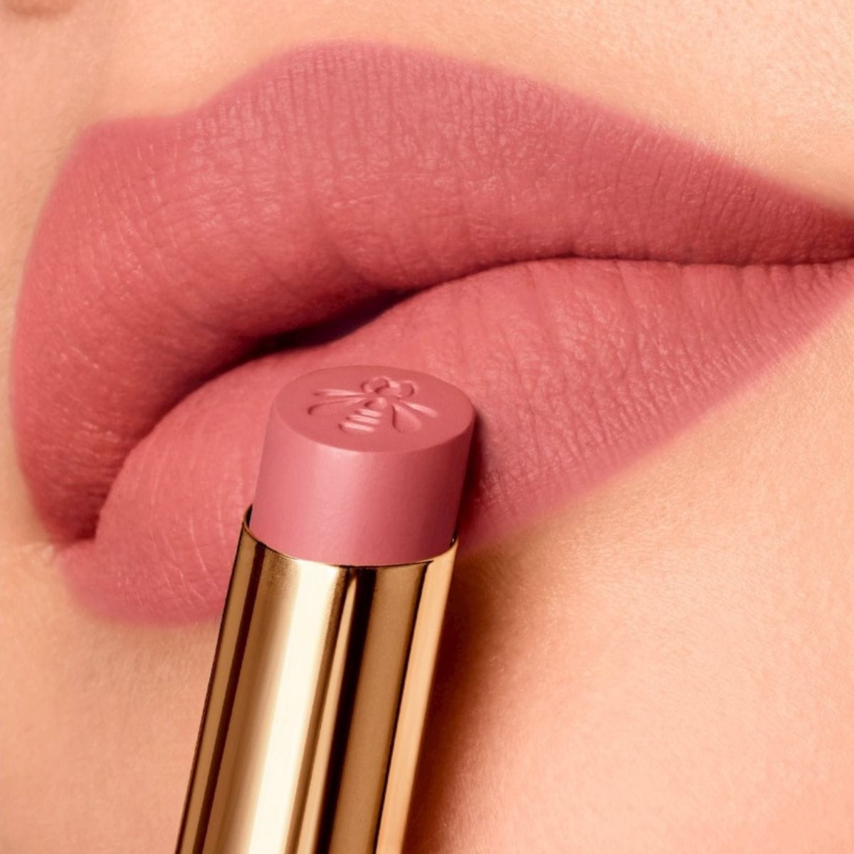 335 ライトローズ