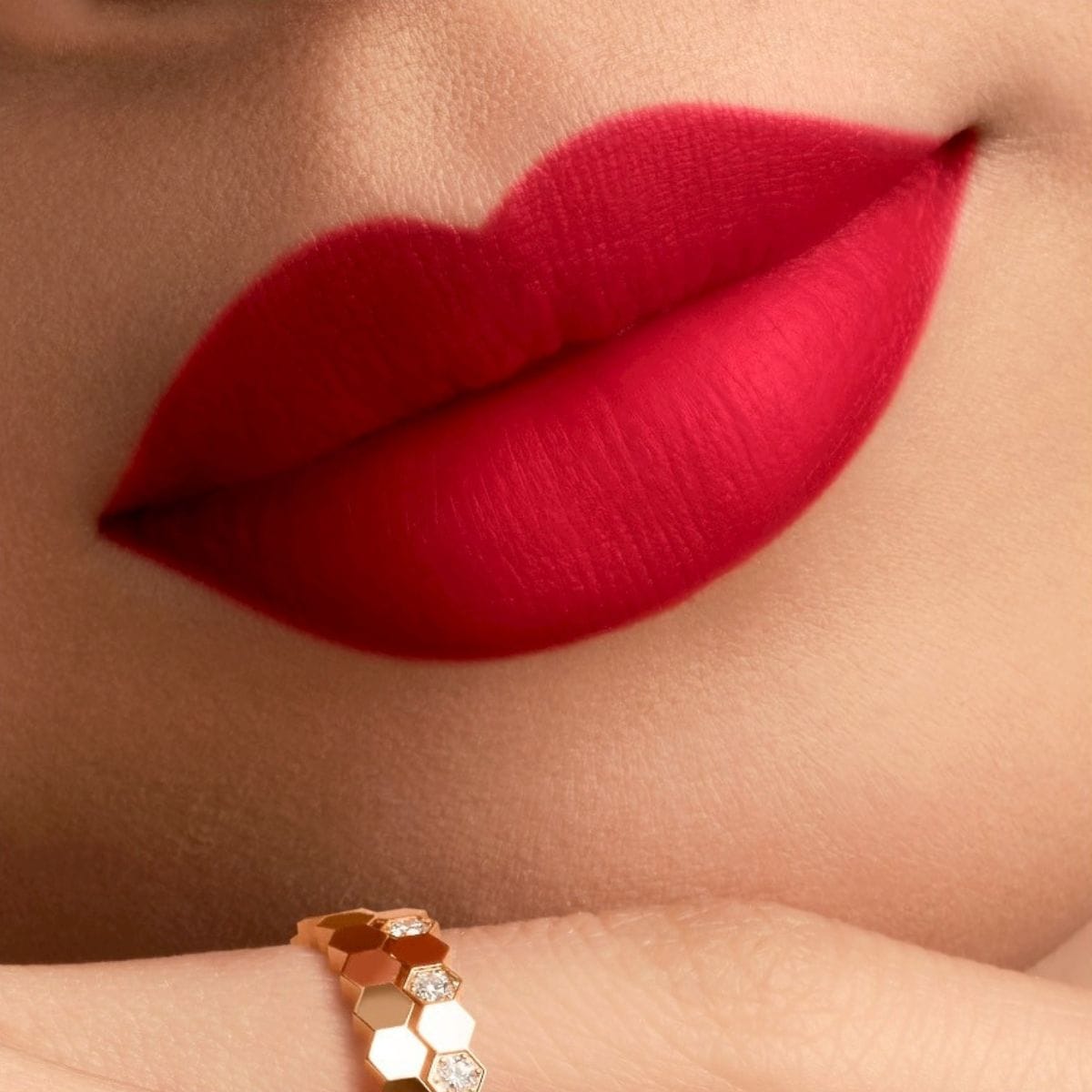 515 プリムローズプリス